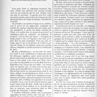 2971 - Page 3824 - Partie professionnelle. Travaux Originaux. Honoraires médicaux ; malades payants. L’ordre des médecins