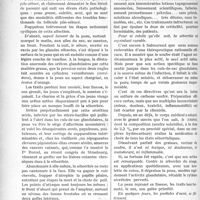 0371 - Page 364 - Partie scientifique. L’Actualité Scientifique. Thérapeutique appliquée. Un traitement rationnel de la séborrhée