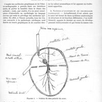 0644 - Page 629 - Partie scientifique. Les arythmies dans la pratique médicale, par Léon Giroux