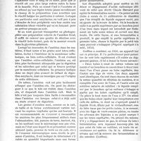 1101 - Page 1070 - Partie scientifique. Travaux Originaux. Coprologie pratique, (Suite), par le Dr H. Dejust. Examen microscopique — Résidus végétaux / Résidus non alimentaires