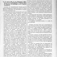 1977 - Page 1923 - Partie scientifique. Travaux Originaux. Journées médicales de Bruxelles. Causerie Chirurgicale. La greffe anthropoïdo-anthropique ou greffe testiculaire du singe à l’homme, par M. Dartigues (30 juillet 1924). Pourquoi devenons-nous vieux et perdons- nous nos tonnes et nos fonctions avant l’heure ? / La vie universelle, la vie biologique collective et la vie individuelle. L’éternel désir de l’homme de prolonger ou de ranimer sa jeunesse / Grandiose programme biologique