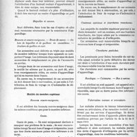 2050 - Page 1996 - Partie professionnelle. Travaux Originaux. Compte rendus, documents, pièces officielles. Instruction relative à l’appareillage des mutilés, (suite et fin). Mutilés du membre inférieur / Mutilés du membre supérieur / Prothèses spéciales