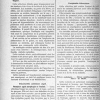 0257 - Page 230 - Partie professionnelle. Comptes rendus, documents, pièces officielles..... Hygiène publique. Les maladies contagieuses. Désinfection et prophylaxie, Dr. J. Dargelos, (Suite). Description des symptômes de la méningite cérébro-spinale, et mesures prophylactiques
