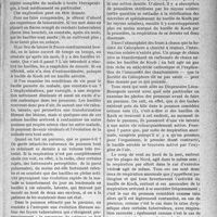 0294 - Page 261 - Partie scientifique. Travaux Originaux. Clinique chirurgicale. Note sur la physiologie de la tuberculose [Docteur Marcotte]