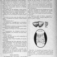 0372 - Page 327 - Partie scientifique. Travaux Originaux. Clinique médicale des enfants, (Hôpital des Enfants-Malades), M. le professeur Nobécourt. De la contention abdominale, par le docteur Charnaux