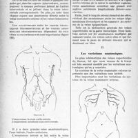 0875 - Page 742 - Partie scientifique. Travaux Originaux. Morphologie clinique. Les veines tégumenteuses de la paroi thoracique, par le Dr. Dubreuil-Chambardel. Le système veineux tégumenteux du thorax / Les variations anatomiques
