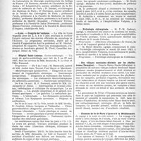 0917 - Page 782 - Partie professionnelle. Reportage professionnel. Nouvelles et Informations. UMFIA. — Prix Voronoff / Lyon. — Congrès de l’enfance / Hôpital Saint-Antoine / Pathologie médicale / Pathologie chirurgicale / Des villages mexicains décimés par les phyllostomes (Vampires) / Chemins de fer de Paris à Lyon et à la Méditerranée