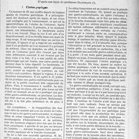 1152 - Page 985 - Partie scientifique. Travaux Originaux. Clinique chirurgicale, d’après une leçon du professeur Hartmann