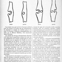 2911 - Page 2628 - Partie scientifique. Travaux Originaux. Note au sujet de l'articulation hermaphrodite des forceps croisés
