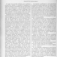 3295 - Page 3004 - Partie professionnelle, Hygiène, Assistance, Mutualité, Intérêts corporatifs, Variétés. Travaux Originaux. Contrats passés entre syndiqués pour le respect des engagements pris en commun [G. Duchesne] [Dr. Paul Boudin] / Cuisine médicale — les intrasauces, par le Dr. A, Gauducheau