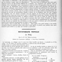 3334 - Page 3043 - Partie scientifique. Travaux Originaux. Clinique chirurgicale. De la lithiase vésicale chez l’enfant, M. J. -P, Tourneux / Phytothérapie tropicale. Le Pring, par le Dr. M. Tirouvanziam
