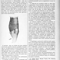 3416 - Page 3123 - Partie scientifique. L’Actualité Scientifique. Orthopédie. Les déséquilibrés du ventre