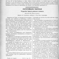 3671 - Page 3376 - Partie scientifique. Travaux Originaux. Ophtalmologie et thérapeutique. Le soufre du cristallin, par Henri Flurin et Raymond Molinéry / Phytothérapie tropicale. Trigonella foenum groecum Linnaeus, par le Dr. M. Tirouvanzian