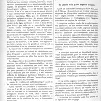 0909 - Page 896 - Partie scientifique. L'Actualité Scientifique. La Presse. L’ascaridiose biliaire [(Journal des praticiens, 28 novembre 1928)] / La grande et la petite angoisse oculaires [(La Clinique ophtalmologique, octobre 1928)]