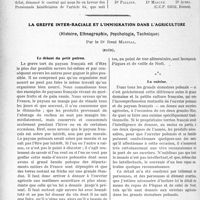 0935 - Page 922 - Partie professionnelle, Hygiène, Assistance, Mutualité, Intérêts corporatifs, Variétés. Comptes rendus, documents, pièces officielles…. Syndicat des Médecins de l’arrondissement de Saint-Malo / La greffe inter-raciale et l’immigration dans l’agriculture, (Histoire, Ethnographie, psychologie, Technique), (suite)