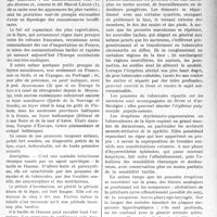 0982 - Page 969 - Partie scientifique. Travaux Originaux. Clinique médicale des enfants, (Hôpital des Enfants Malades), M. le professeur Nobécourt. Ce que pratiquement le médecin doit savoir... De la lèpre