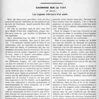 1233 - Page 1220 - Partie professionnelle, Hygiène, Assistance, Mutualité, Intérêts corporatifs, Variétés. Travaux Originaux. Variétés. Le Docteur Argyrophilo / Causeries sur la T S F. Les organes inférieurs d’un postée
