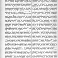 3875 - Page 3778 - Partie scientifique. L’Actualité Scientifique. Thérapeutique. La carence en phosphore de notre alimentation