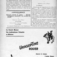 2033 - Page 2026-LXVI - A travers l’officiel. Voyages médicaux internationaux dans les Alpes, les Cévennes et les Pyrénées / Jurisprudence. Infirmier décédé du typhus. — Maladie contagieuse assimulée à un accident du travail [Dr Paul Boudin]