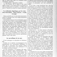 2814 - Page 2805 - Partie scientifique. Travaux Originaux. La clinique cardiologique au goût du jour. Le cures digitaliques doivent être longues (d’une semaine environ), puis renouvelées à intervalles rapprochés, d'après le Dr C. Lian. Comment régler les cures digitaliques longues et rapprochées / La médication digitalique par les voies iutra-musculaire, intra-veineuse, rectale, laryngée / La surveillance de la cure / Prescriptions adjuvantes de la digitale