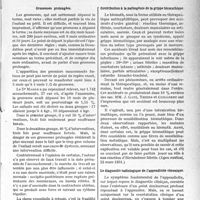 3228 - Page 3219 - Partie scientifique. L'Actualité Scientifique. La Presse. Grossesses prolongées [(Bruxelles médical, 22 mars 1931.)] / Contribution à la pathogénie de la grippe bismuthique [(Lyon médical, 22 mars 1931.)] / Le diagnostic radiologique de l’appendicite chronique [(La Presse médicale, 14 mars 1931.)]