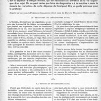 0913 - Page 912 - Partie scientifique. Travaux originaux. Le laboratoire et le praticien. Le métabolisme basal, d’après les travaux du Professeur Schaefferet ceux du Docteur Delcourt-Bernard. Le mécanisme du métabolisme basal / La mesure du métabolisme basal