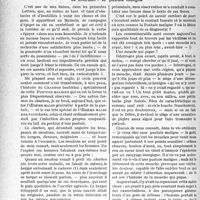 1411 - Page 1370 - Partie scientifique. Travaux originaux. Introduction à la vie de médecin de campagne, Docteur Camescasse. Le Charbon : la pustule maligne