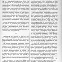 1762 - Page 1719 - Partie scientifique. Travaux originaux. Médecine pratique. La thérapeutique de la cellulite [Dr Jean Frumusan]