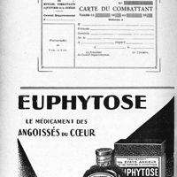 2277 - Page 2232-XII - Modèle de la carte du combattant, fixé par l’arrêté du 3 juillet 1933. (recto)