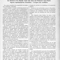 3126 - Page 3085 - Propos du Jour. Les Poissons et le Monde vivant des eaux du Professeur Louis Roule. Figures représentatives d'ancêtres : L'origine des vertébrés [J. Noir]