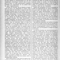 3403 - Page 3362 - Partie Scientifique. Travaux Originaux. L’hygiène au goût du jour. Les usages thérapeutiques du bouleau blanc, Docteur E. -A. Maury