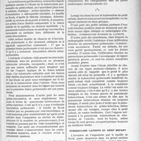 0460 - Page 429 - Partie scientifique. Travaux originaux. La pratique orthopédique de l'enfant et de l’adulte. La tuberculose pulmonaire du jeune enfant, par Ch. Lestocquoy. Tuberculose latente du petit enfant