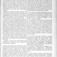 1308 - Page 1137 - Partie professionnelle. Travaux originaux. Hygiène alimentaire. Oeufs frais — Oeufs conservés [G. Fischer]