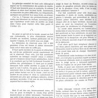 1429 - Page 1246 - Partie scientifique. Travaux originaux. Le traitement préventif du tétanos. La cystostomie des vessies vides, par M. le Docteur F. Cathelin