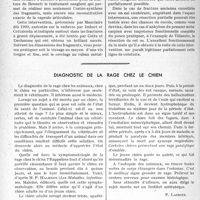 1603 - Page 1376 - Partie scientifique. Travaux originaux. Clinique chirurgicale. Les fractures de la base du premier métacarpien, M. J. -P. Tourneux / Diagnostic de la rage chez le chien [P. Lacroix]