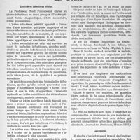 2278 - Page 1941 - Partie scientifique. L'actualité scientifique. La Presse. Les ictères infectieux bénins [(Journal des Praticiens, 16 mars 1935)] / La cellulite [(La Médecine, février 1935)]