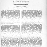 2598 - Page 2239 - Partie Scientifique. Travaux originaux. Clinique chirurgicale. Le phlegmon périnéphrétique, par M. J. -P. Tourneux