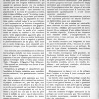 2608 - Page 2249 - Partie Scientifique. Travaux originaux. Érythème solaire et pellagre, par Georges Boudin