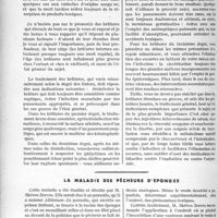 3039 - Page 2632 - Partie scientifique. Travaux originaux. Clinique chirurgicale. Les brûlures, M. J. P. Tourneux / La maladie des pécheurs d'éponges [P. Lacroix]