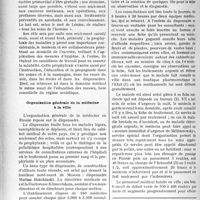 3643 - Page 3178 - Partie professionnelle. La médecine en Russie soviétique. Organisation générale de la médecine à la ville