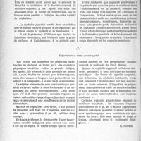 3907 - Page 3422 - Partie scientifique. Ce que pratiquement le médecin doit savoir de... La céphalée dite « de croissance». Que penser de ses causes en vue d'un traitement rationnel? / Déductions thérapeutiques