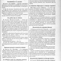0366 - Page 365 - Partie scientifique. L'actualité Scientifique. Les Congrès. Premier congrès de chirurgie structive, (Bruxelles, 3-4 octobre 1936). Les réactions fibreuses hypertropiques après interventions esthétiques sur le nez, pratiquées par voie endo-nasale, M. Prévot / Transplantation du mamelon, M. Bames / Des greffes dans les brûlures, M. Dantlo / Traitement préventif et curatif des chéloïdes, M. Deplaen / La méthode de choix des réparations plastiques, des grandes brûlures de la face, M. Dantrelle / La préparation Hilgermann en chirurgie réparatrice, Mme Julia de Lara / Reconstitution des mamelons déformés, M. Michaleck-Grodzki / Reconstruction réparatrice en chirurgie structive, M. Claoué