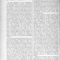 0911 - Page 910 - Partie scientifique. Travaux originaux. Luxation complète de la verge
