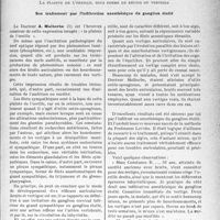 2036 - Page 2029 - Partie Scientifique. Au chevet des patients. La plainte de l'oreille, sous forme de bruits ou vertiges. Son traitement par l’infiltration anesthésique de ganglion étoilé