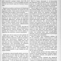 3098 - Page 2955 - Partie scientifique. Travaux originaux. Rayons x et organes génitaux