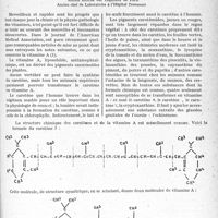 3228 - Page 3083 - Partie scientifique. Travaux originaux. Notes sur la vitamine A d'après de récents travaux américains, par le Docteur J. Langle