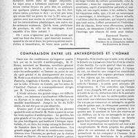 0943 - Page 910 - Partie professionnelle. Bulletin de l’Actualité. Médecine et scoutisme. Ce que le scoutisme peut apporter au médecin / Comparaison entre les anthropoïdes et l’homme