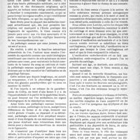 1864 - Page 1813 - Partie scientifique. Travaux originaux. La vie normale et pathologique de l’os [Dr Raphaël Massart]