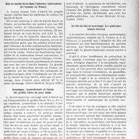 2784 - Page 2703 - Partie scientifique. L’actualité scientifique. La Presse. Rôle du bacille bovin dans l’infection tuberculeuse de l’homme en France [(Paris Médical, 24 juin 1939.)] / Avantages, inconvénients et limites des greffes libres de peau totale [(La Presse Médicale, 13 septembre 1939.)] / Le rôle du foie en neurologie. Les syndromes hépato-nerveux [(La Science Médicale pratique, juin 1939.)]