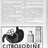 2872 - Page V-2787 - Propos du jour. Souhaits de nouvel an